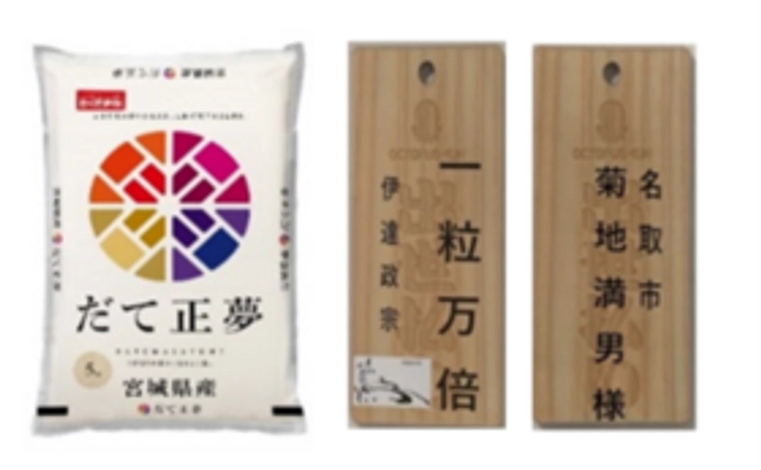 王道応援コース