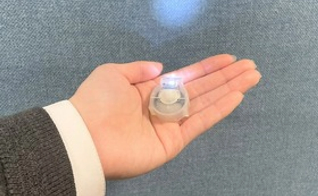 LEDライト(1個)応援コース