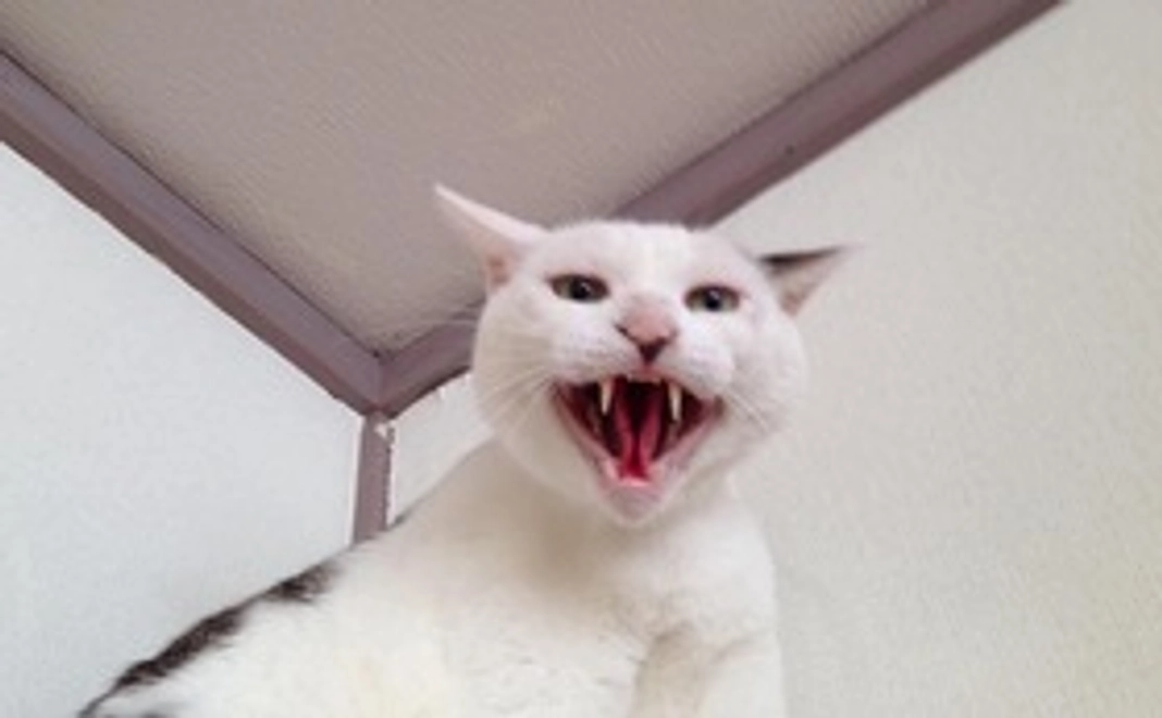 2.感謝のメールコース 5,000円