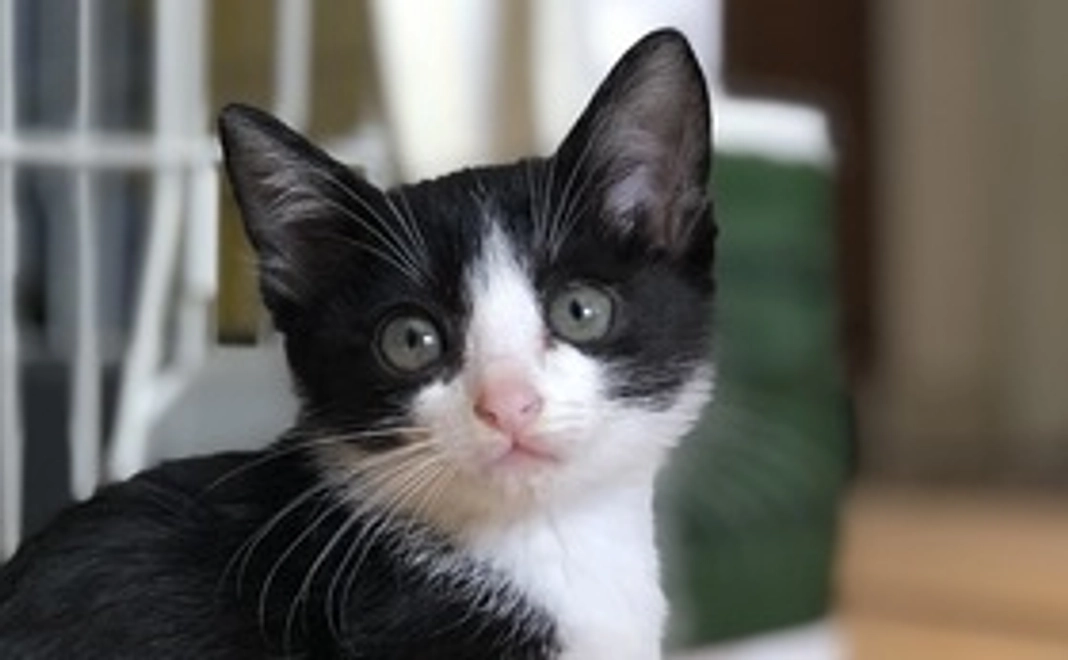 【リターンなしの応援コース】3,000円