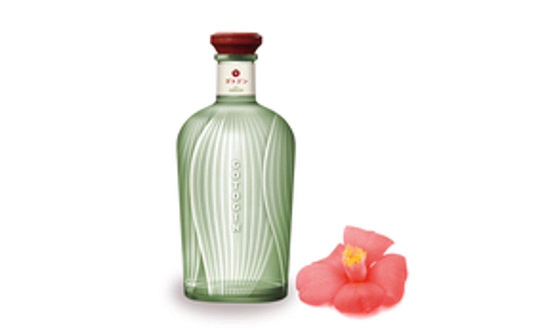 【READYFOR限定】GOTOGINファーストバッチ・セット