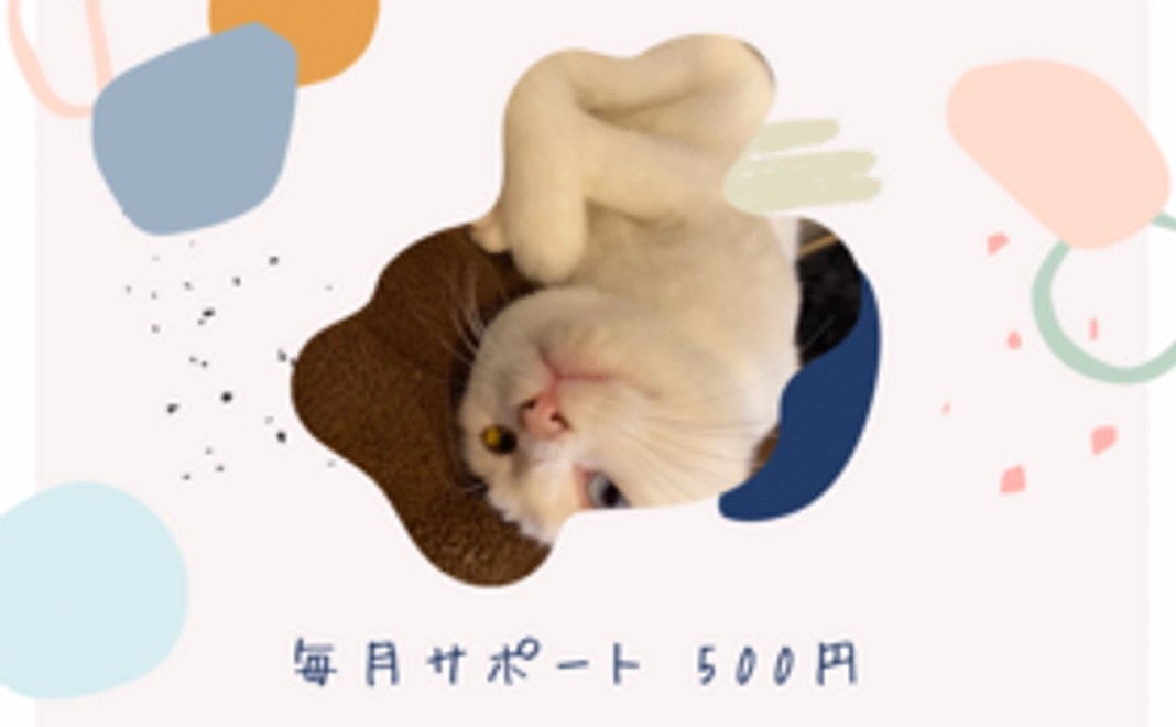毎月サポート500円