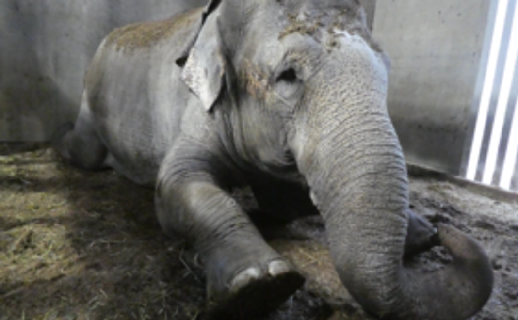 1万5千円：【2/24_新規】三本珈琲オーガニックドリップコーヒー