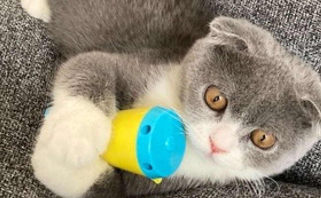 ご支援お願い致します❗感謝のメールを送ります。