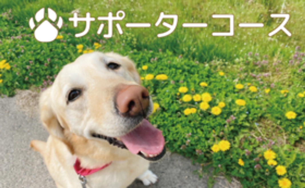 5千円/応援サポーターコース