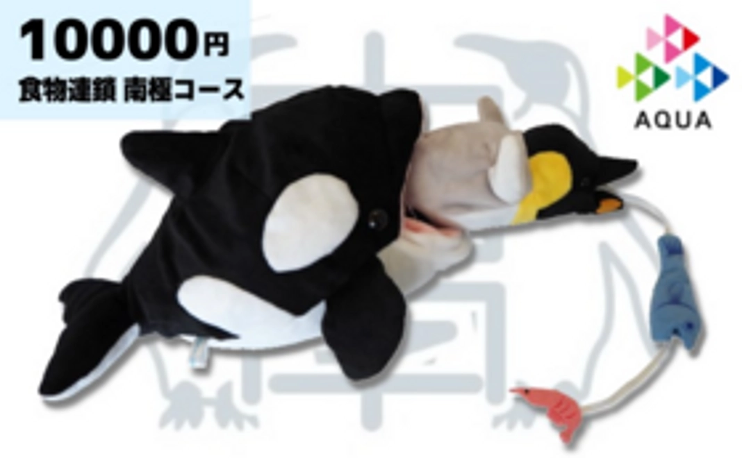 1万円|ペンギンぬいぐるみ「食物連鎖」コース