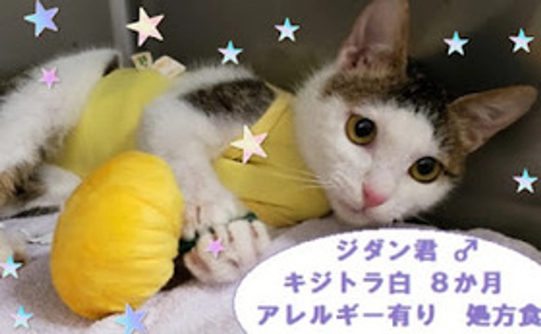 【リターンなし】 幸せ全力応援コース5千円