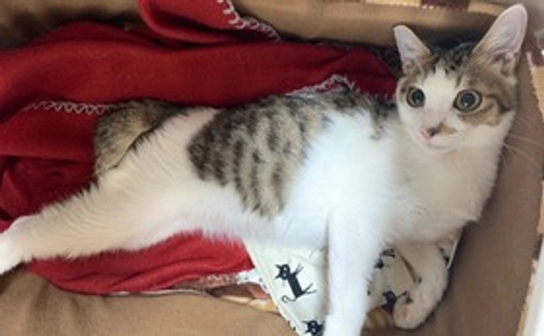 【リターン不要】ジャム全力応援　1000