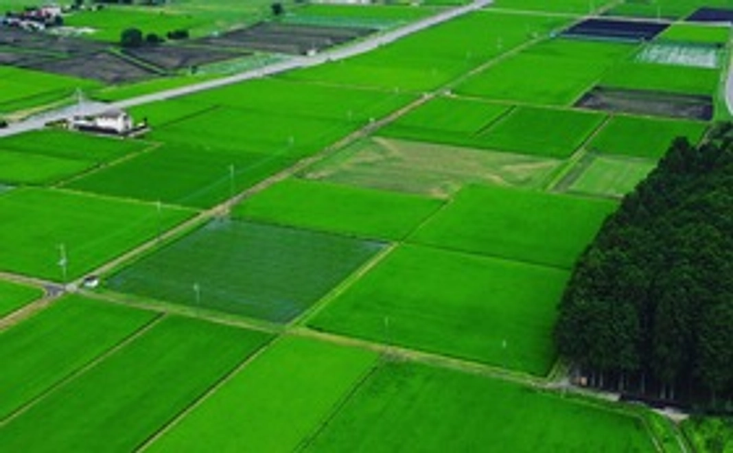 （豪華なリターンは不要な方向け/5千円）　応援！