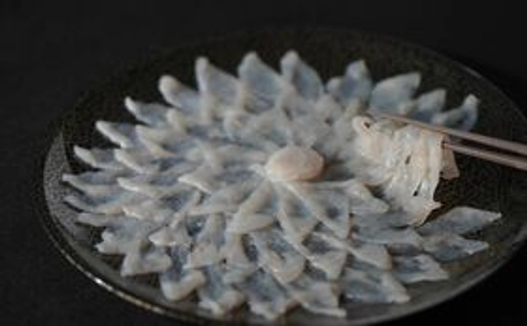 フグ初体験てっさセット追加分（年内発送）