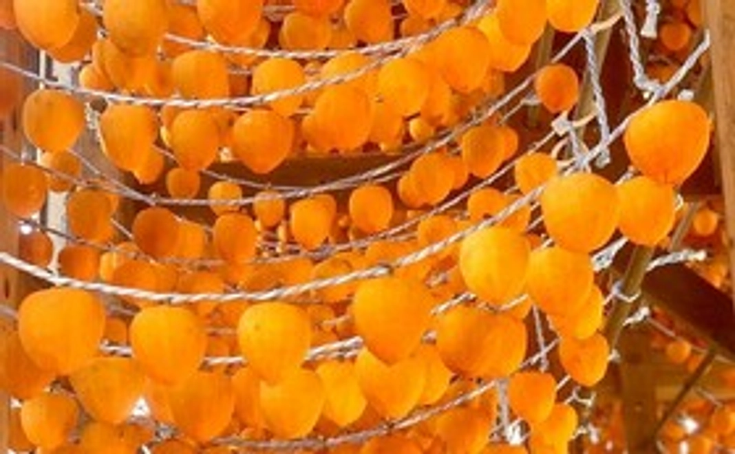 冷凍あんぽパンと自家製カレーパンお試しセット