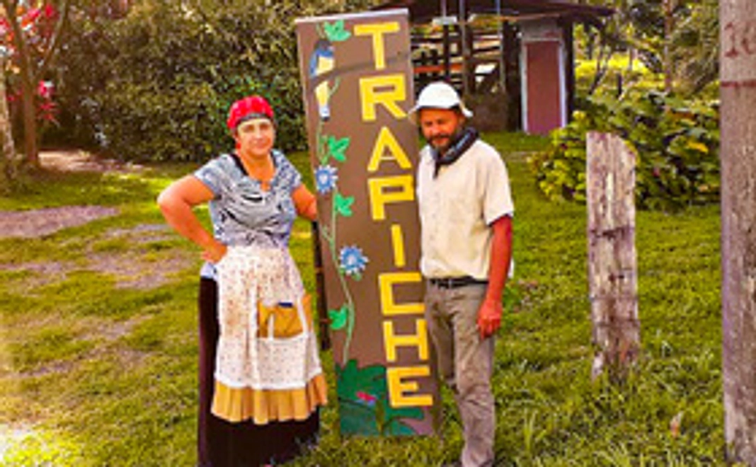 10株おまかせセット