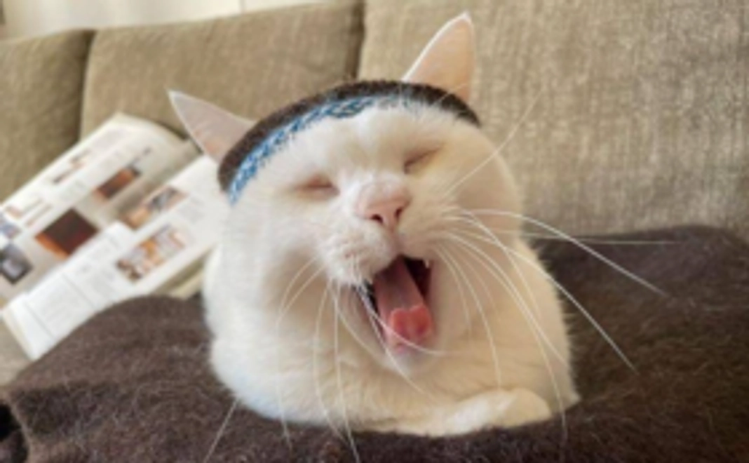 毎月応援2,222円コース