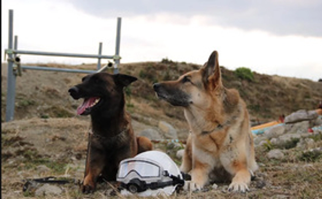 活動支援 3000円コース