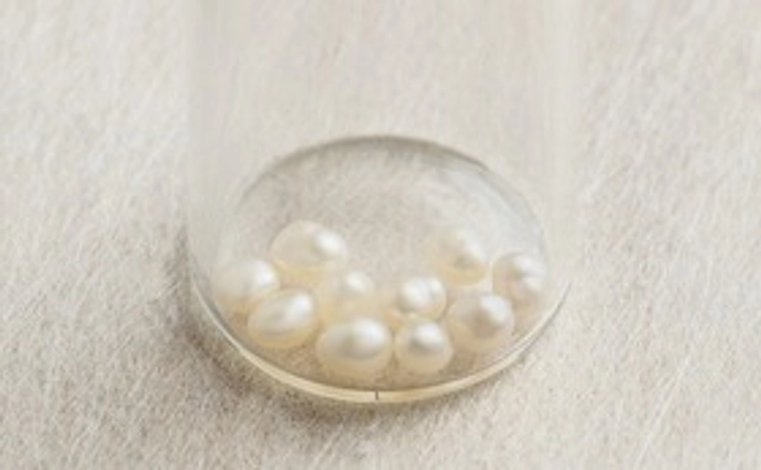 びわ湖真珠(約2㎜×10個)