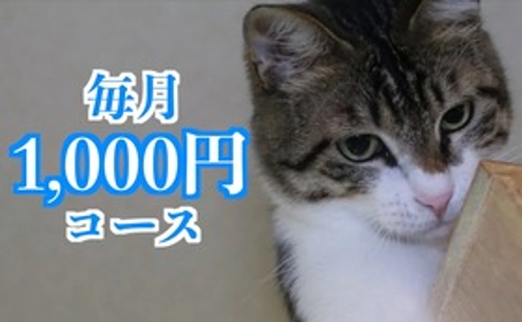 毎月応援1,000円コース