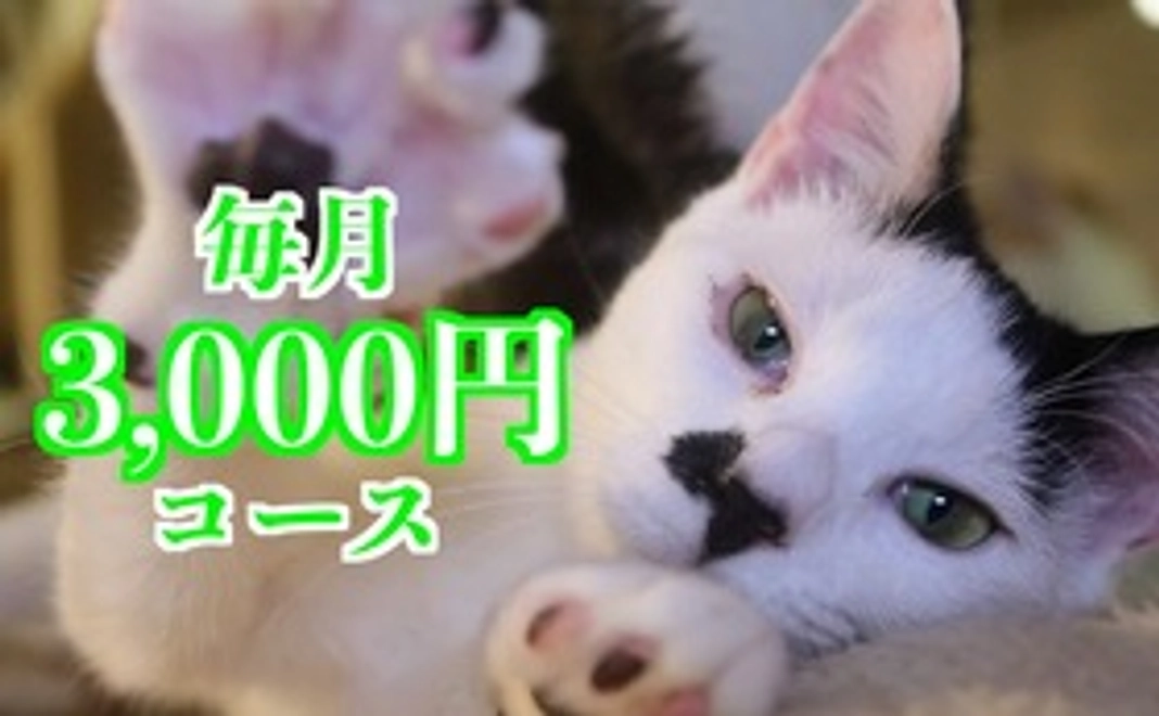 毎月応援3,000円コース