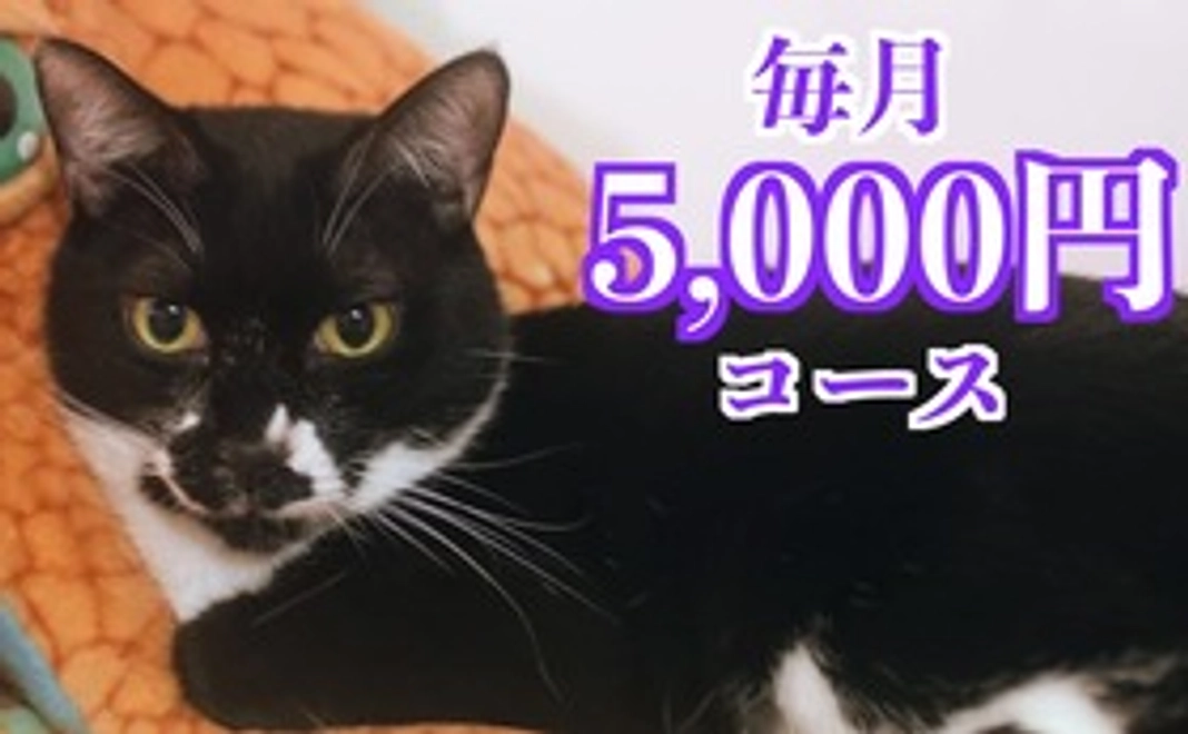 毎月応援5,000円コース