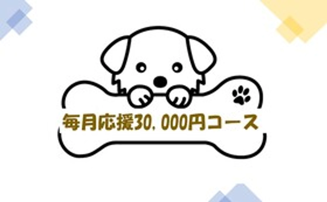 毎月応援30,000円コース