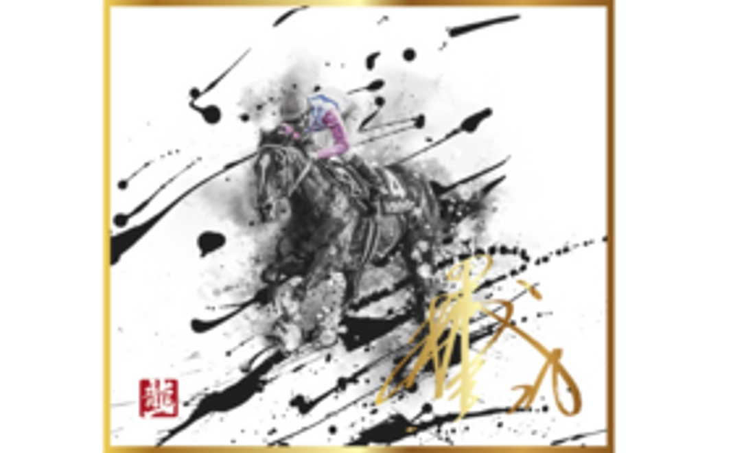 追加5｜和アート・トウカイテイオーセット