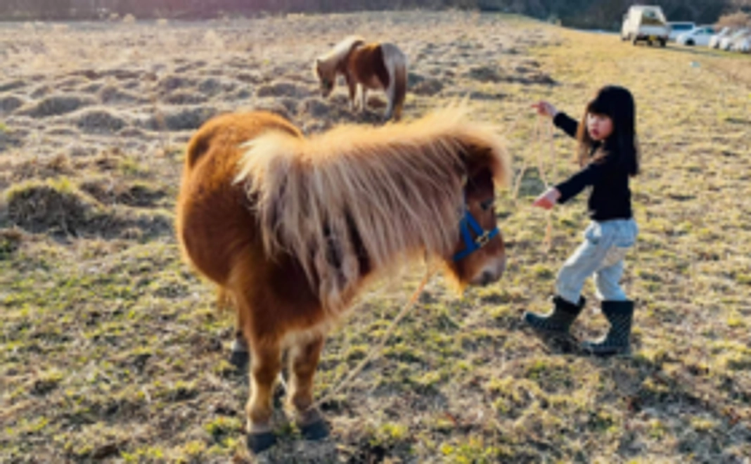 10,000円｜まきばのイベント情報をお知らせ（希望制）
