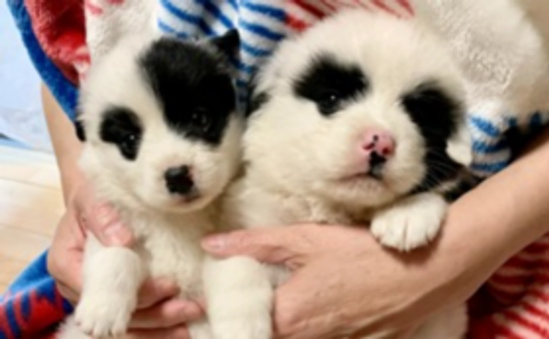 毎月5,000円応援コース