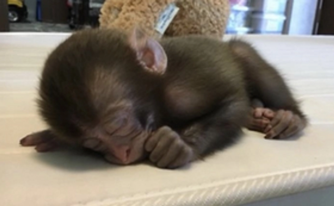 感謝のメール 500