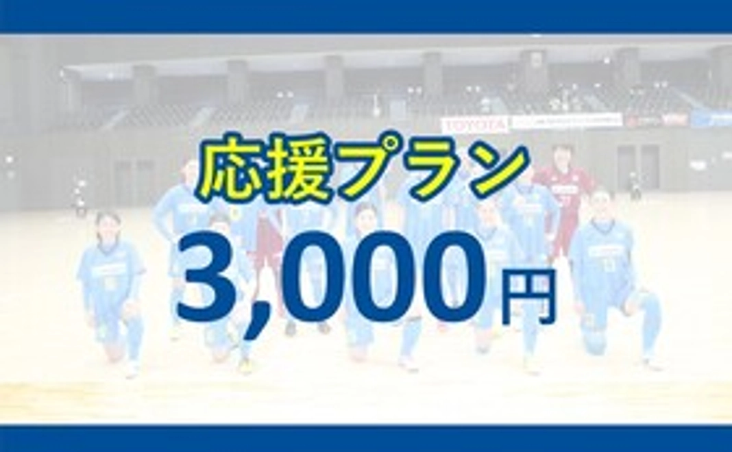 【応援プラン】3,000円