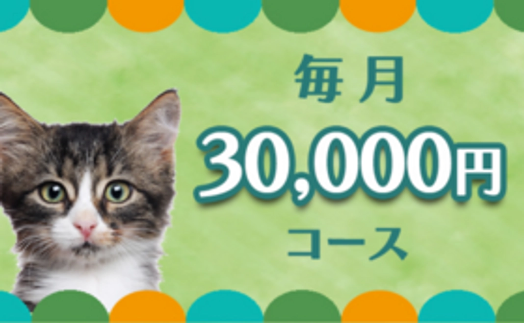 毎月応援30000円コース