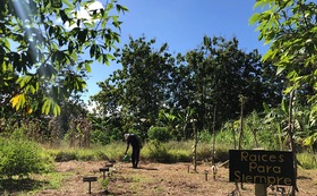 3株セレクトセット