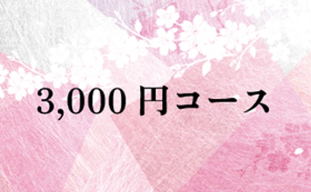 3,000円コース