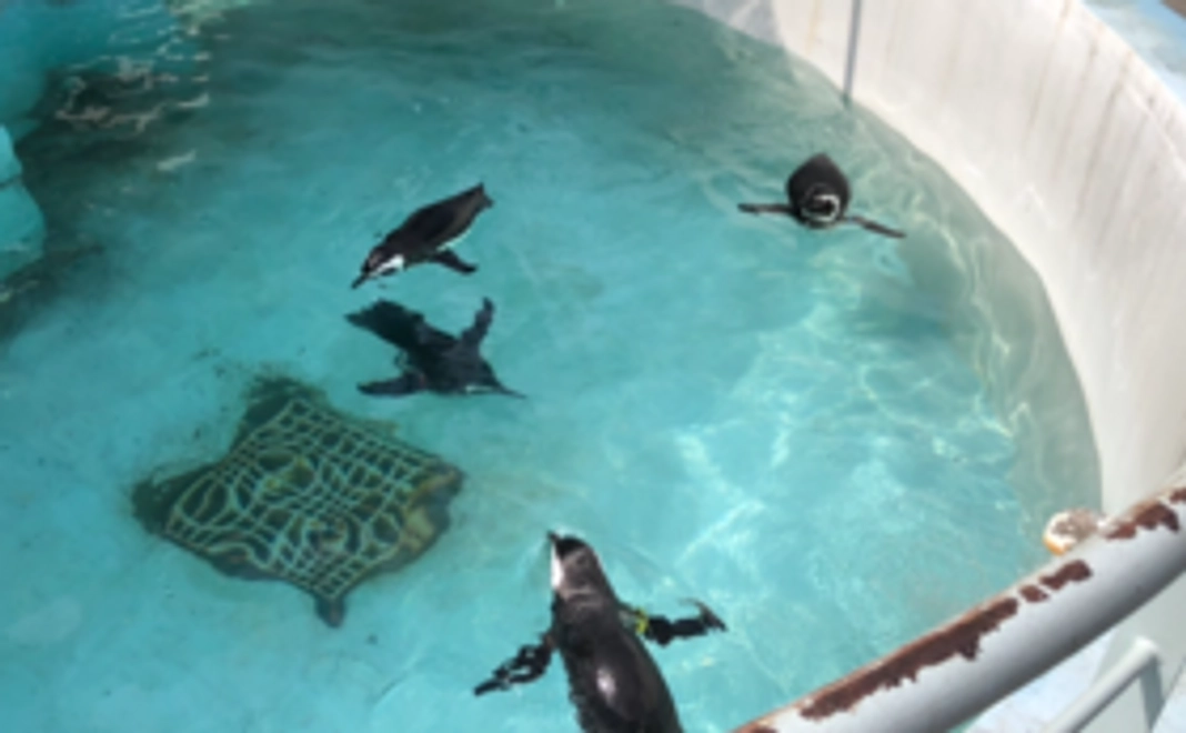 おきもち｜3千円コース