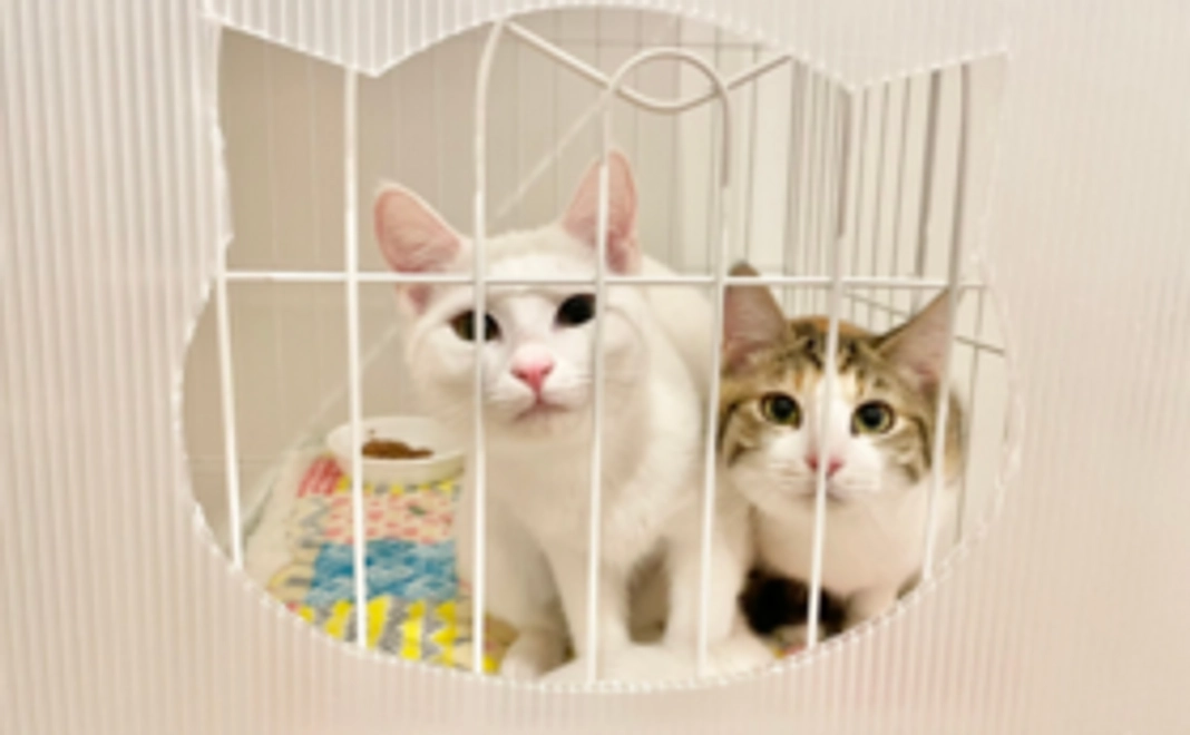 【活動応援！】3000円コース