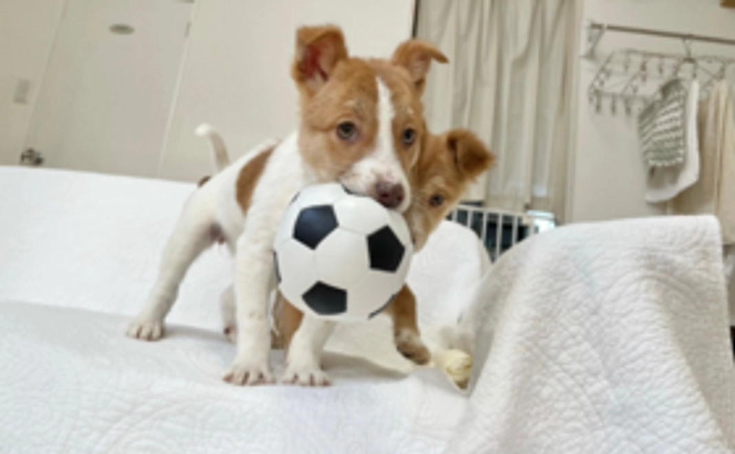 【活動応援！】5000円コース