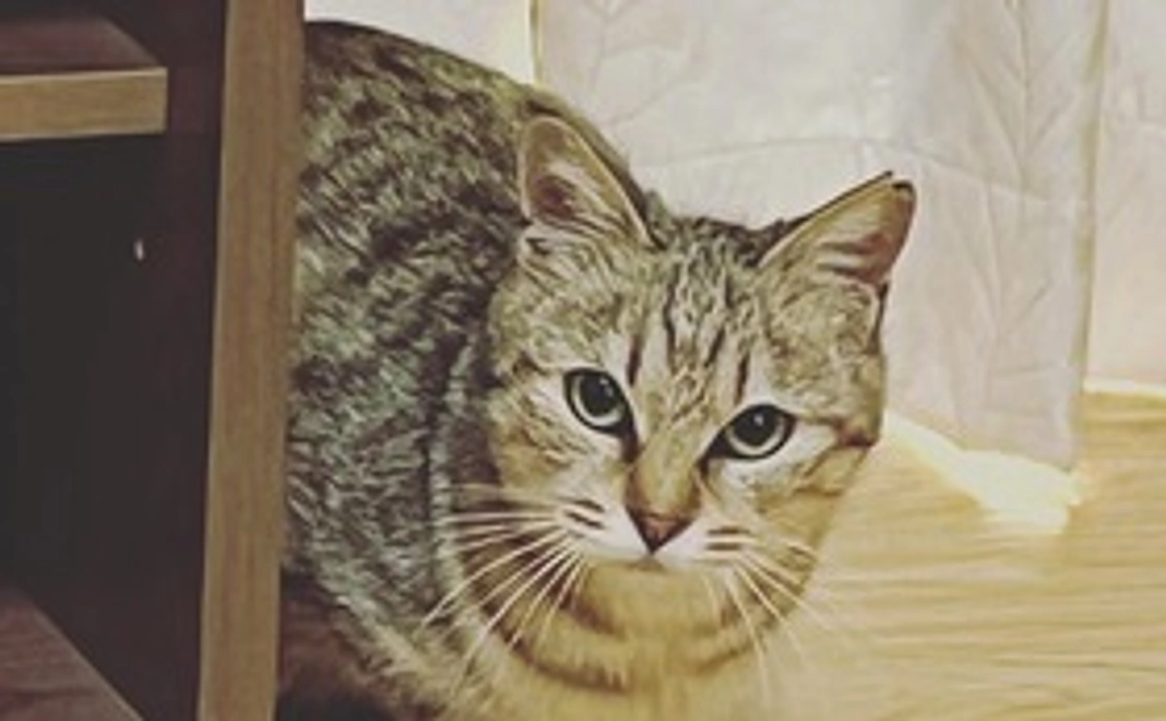 ②神様仏様プラン【5,000円】