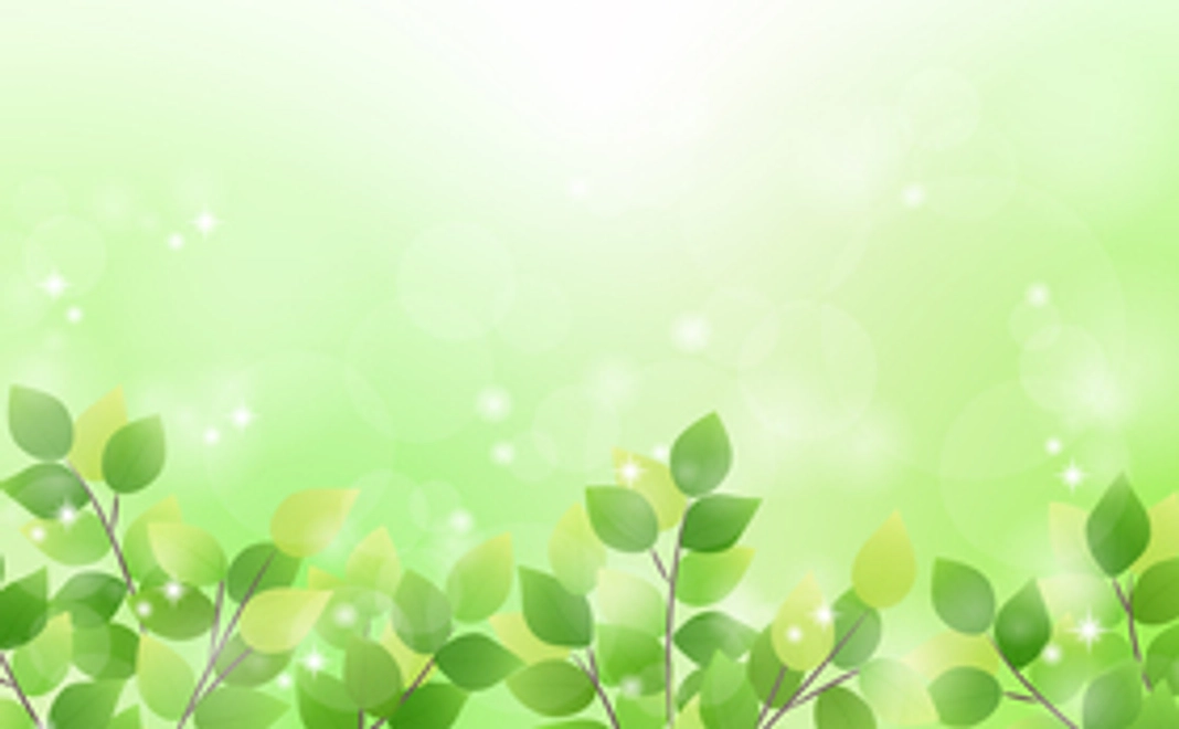 KaiKaiマンスリーサポーター(レギュラー)