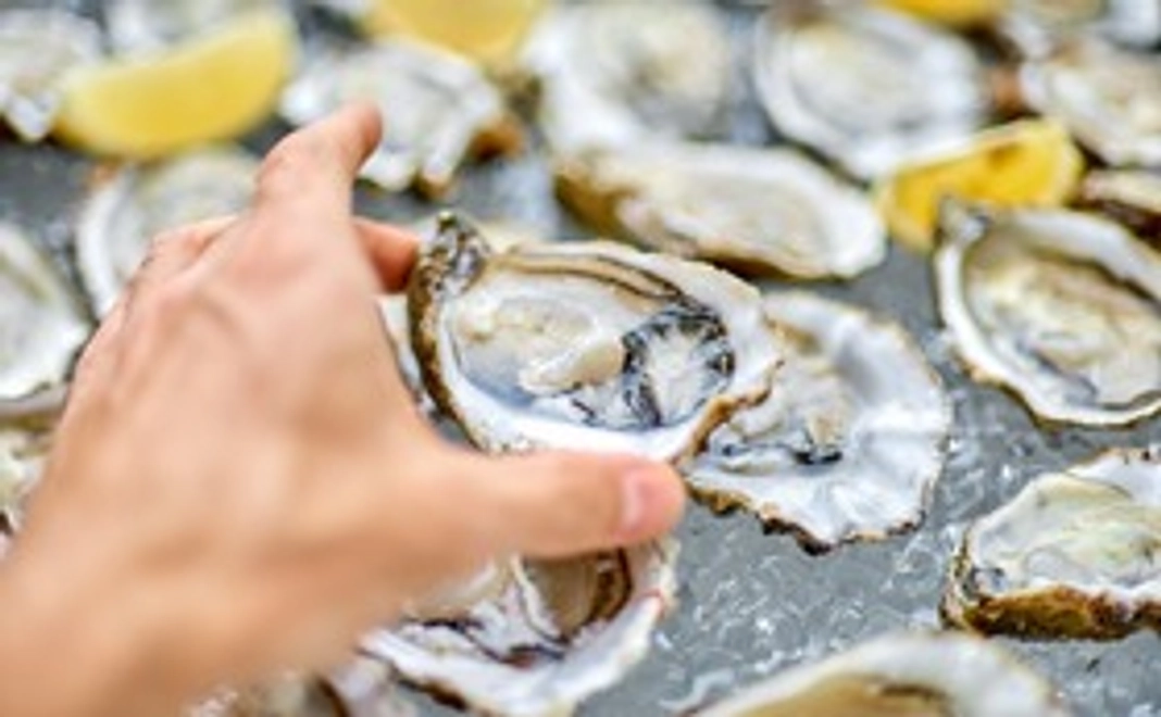 【試食会】牡蠣エキスパートが選ぶ牡蠣3産地6個