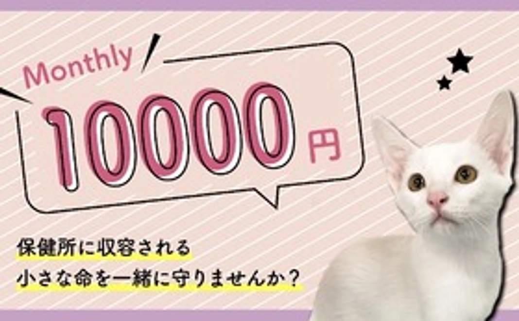 10,000円コース
