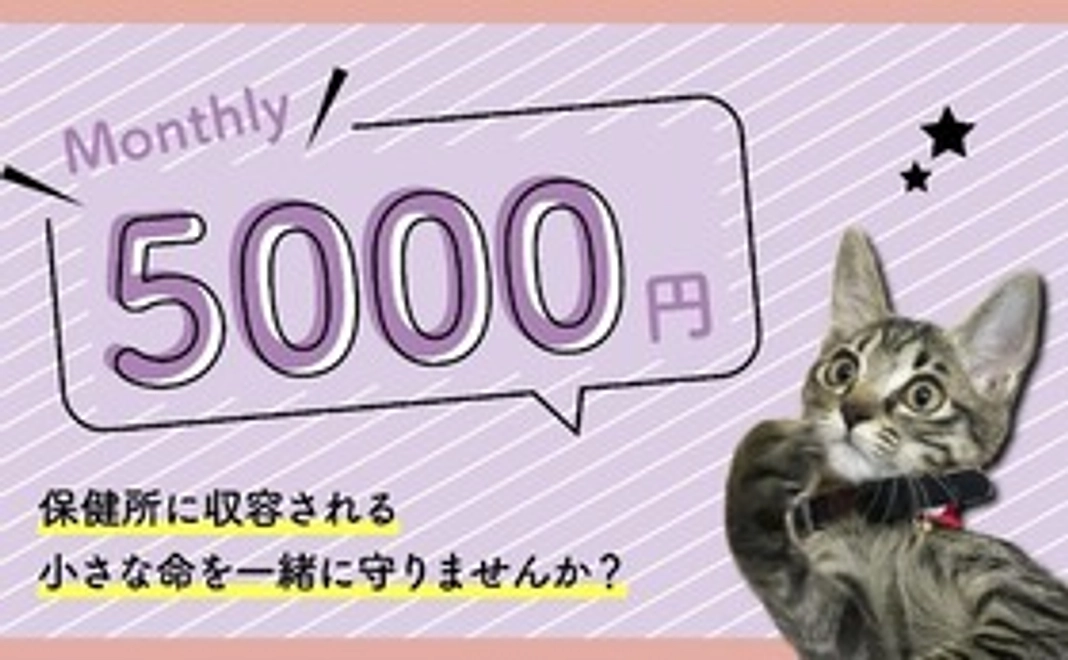 5,000円コース