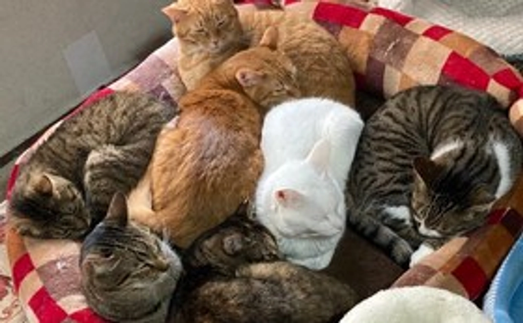 毎月応援諭吉コース