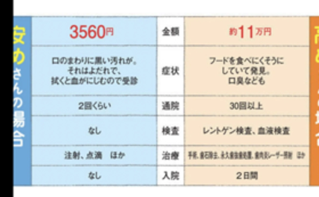 保護猫に予防接種をさせたい