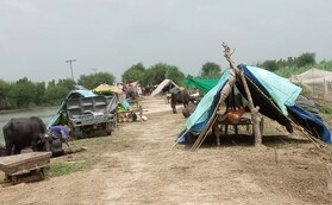 ②感謝のメール、プロジェクト報告レターをお送りします