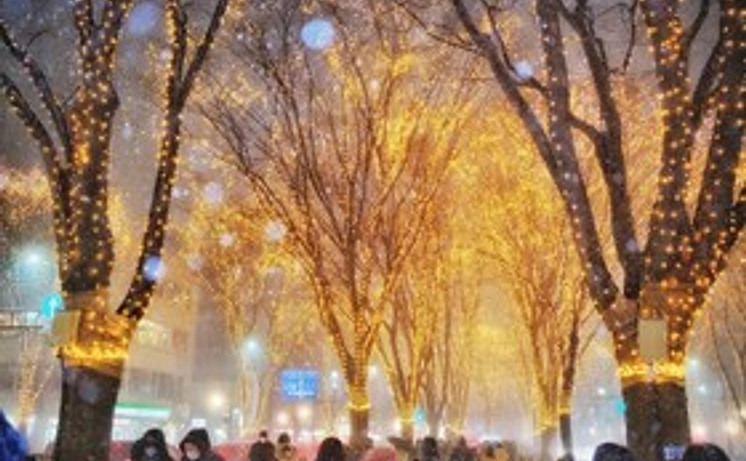 プロジェクト応援プランA