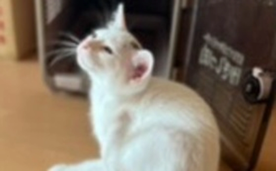 活動報告と感謝のメール