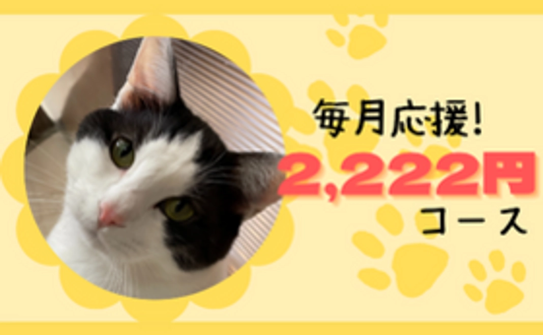 毎月にゃんにゃんサポーター！