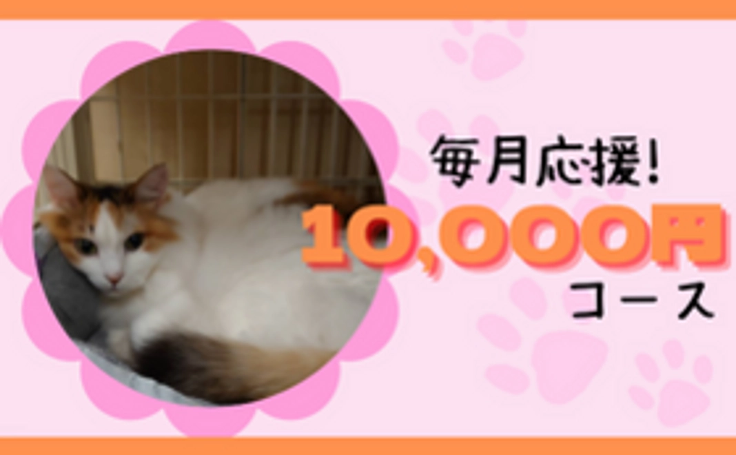 毎月10,000円にゃんたまサポーター！
