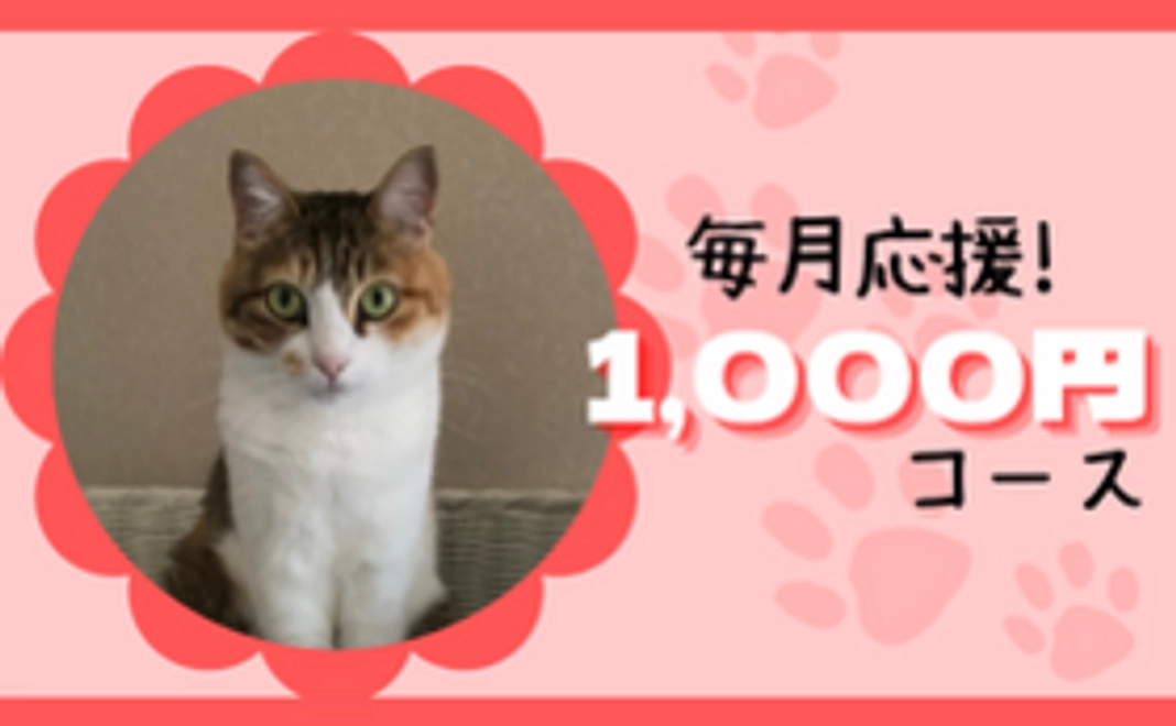 毎月1,000円にゃんたまサポーター！