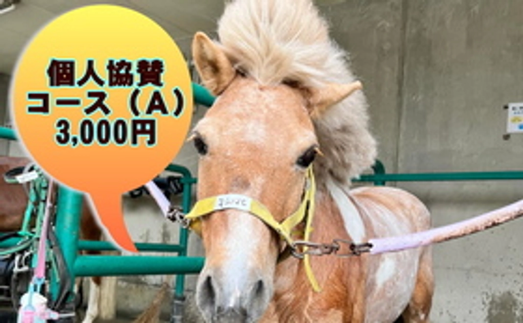 個人協賛コース(A)