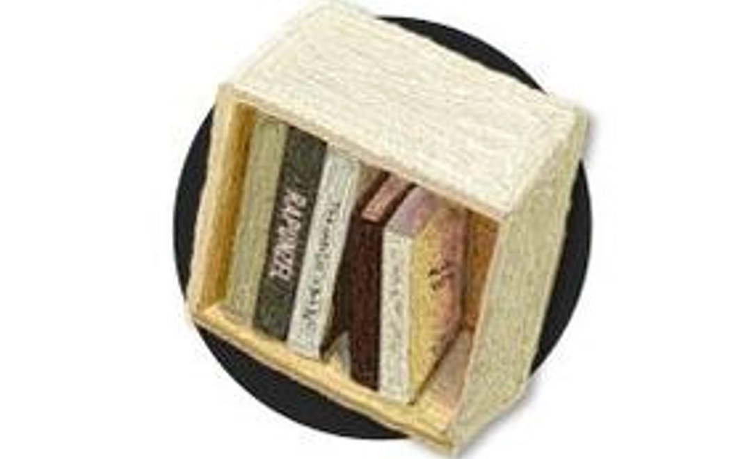 学生と保護活動者向け 一箱本棚オーナー権『12カ月分』コース