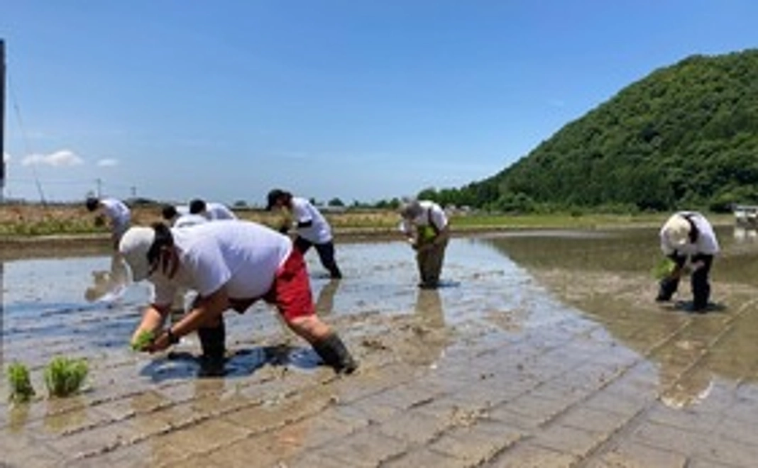 【福井県外の方限定】！！福井県立大学開発！！山田錦FW1号による日本酒（4合瓶1本）